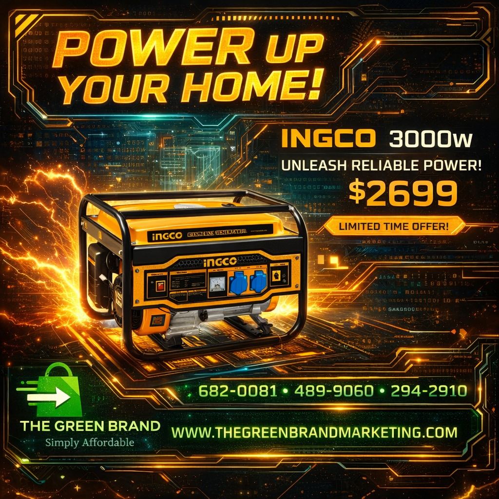 Ingco 3000W gasoline generator
