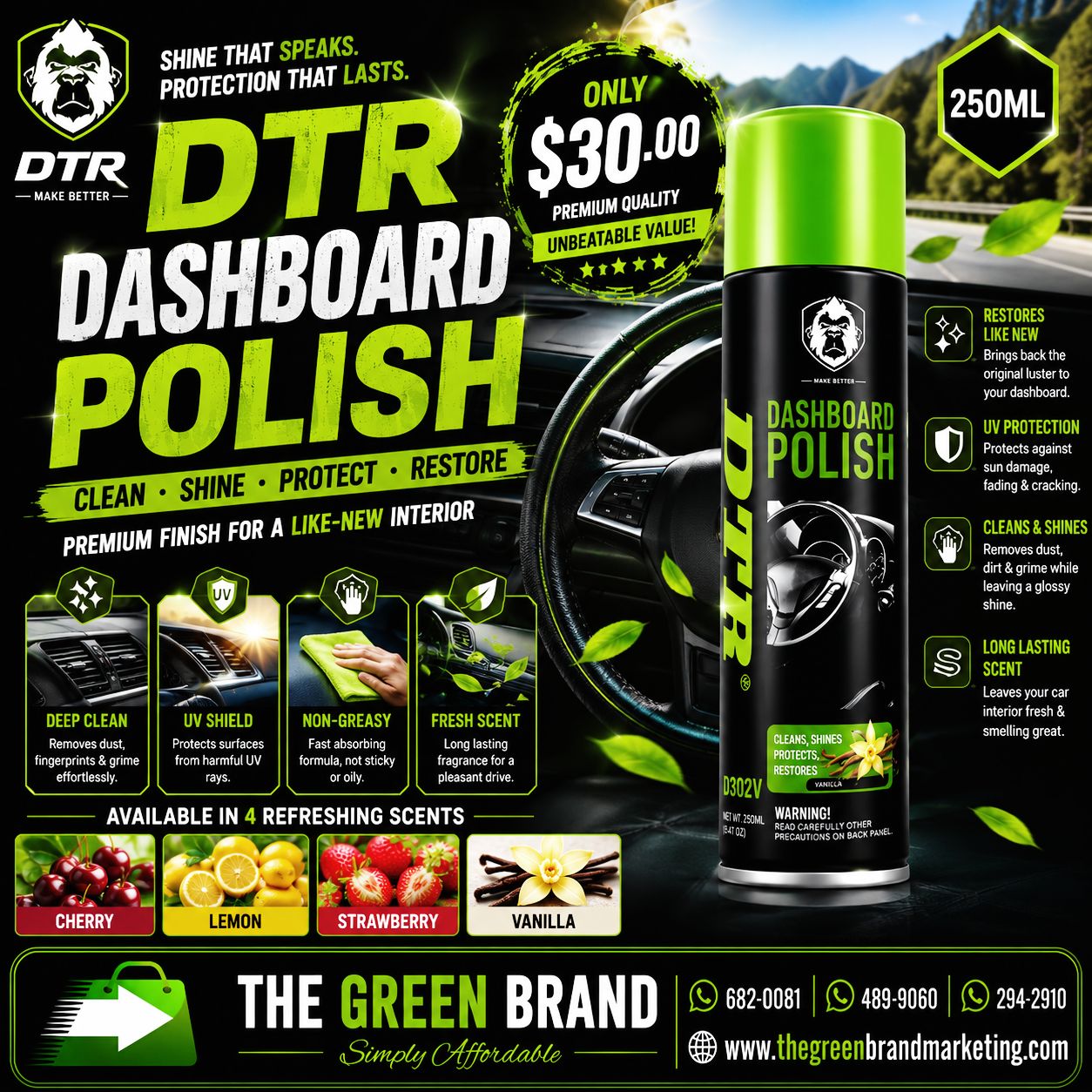 DTR Dashboard Polish 250ml D302