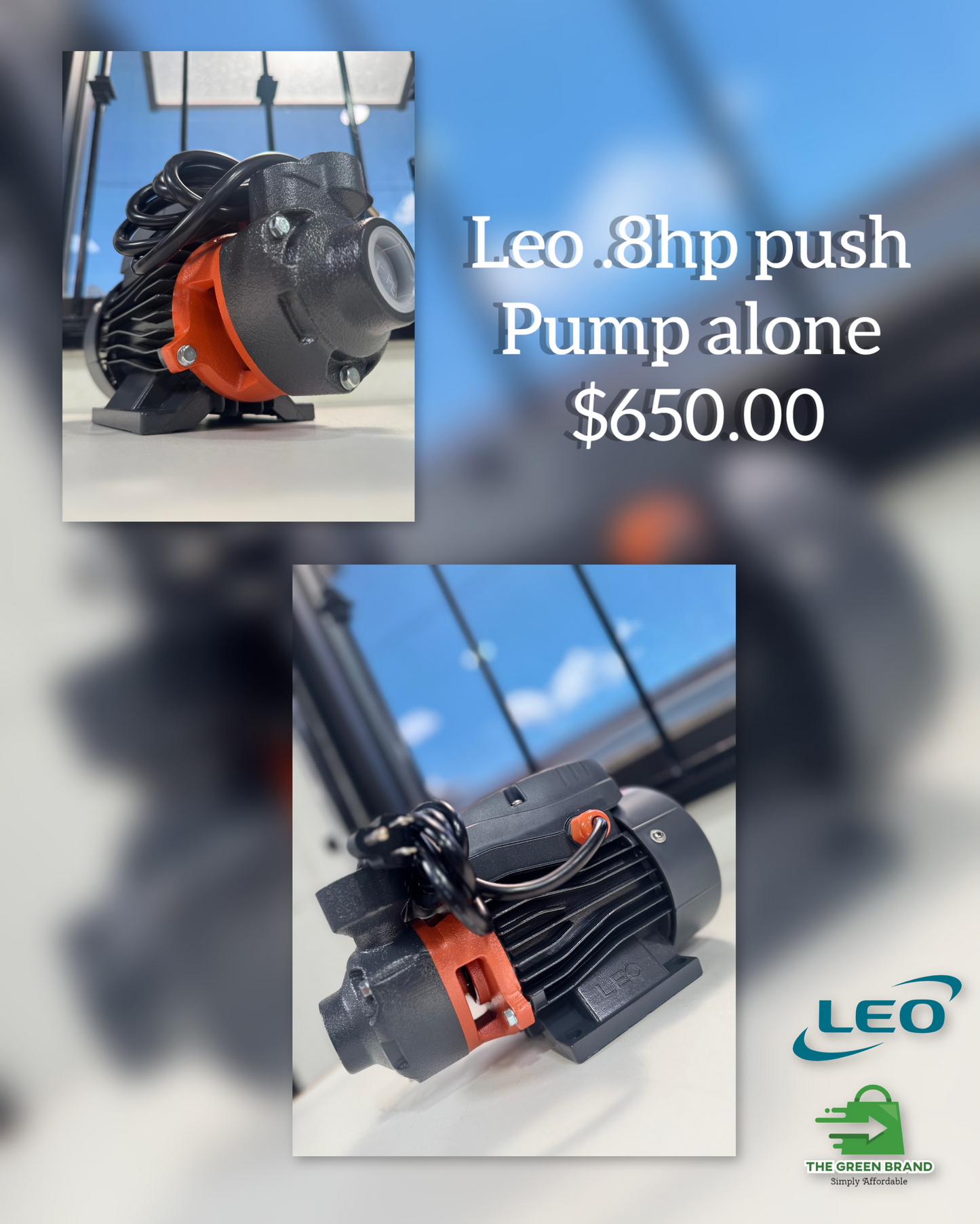 Leo .8HP electrical pump
