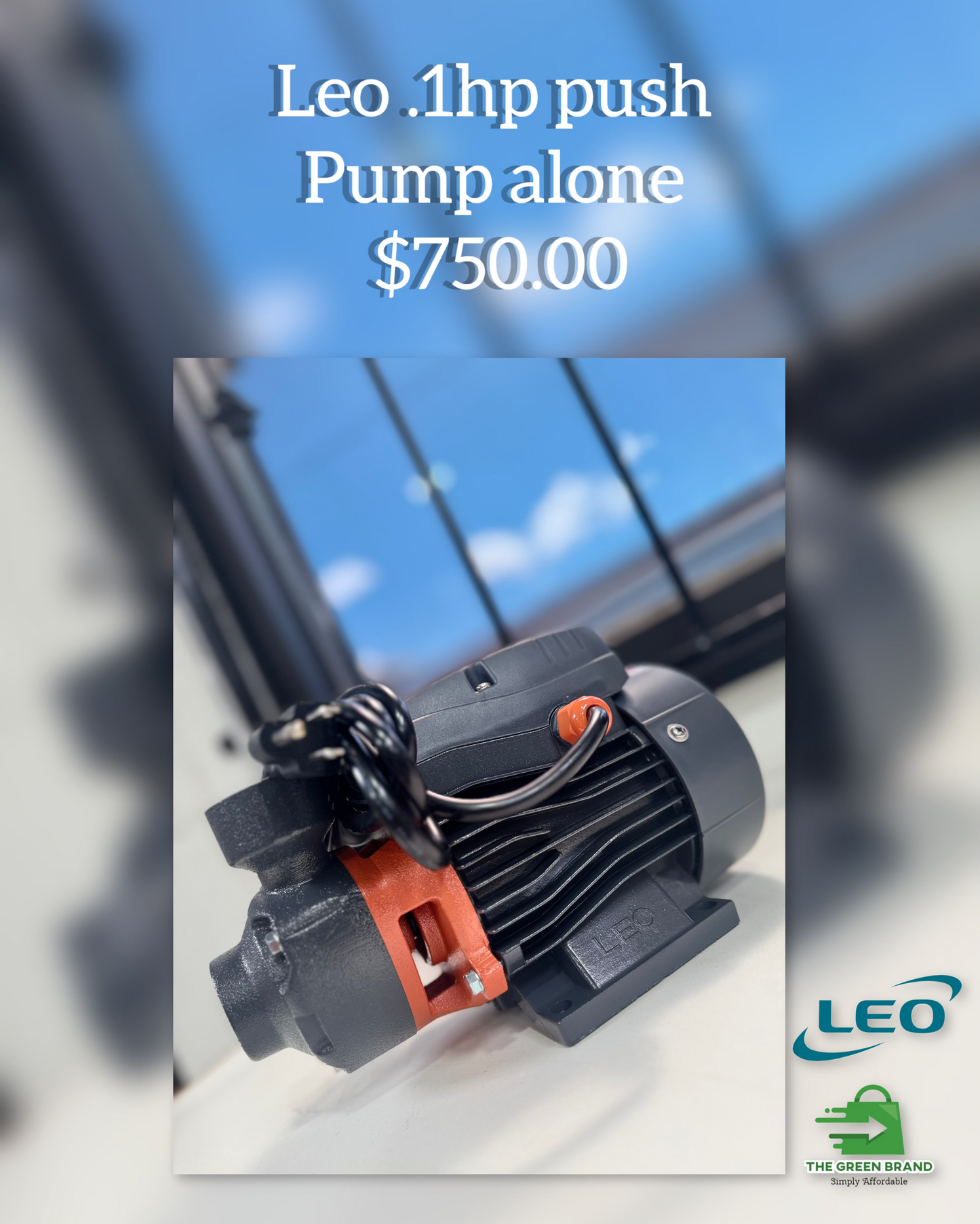 Leo 1HP electrical pump
