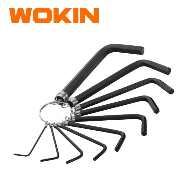 Wokin 10pcs Hex Key Set on Ring