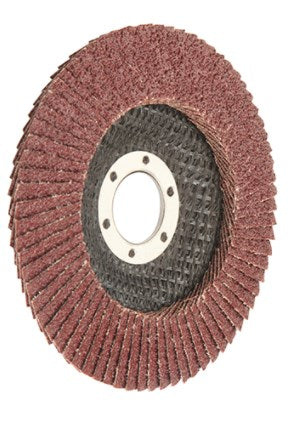 Wokin Flap disc