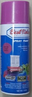 Best Value spray  paint indoor/ outdoor