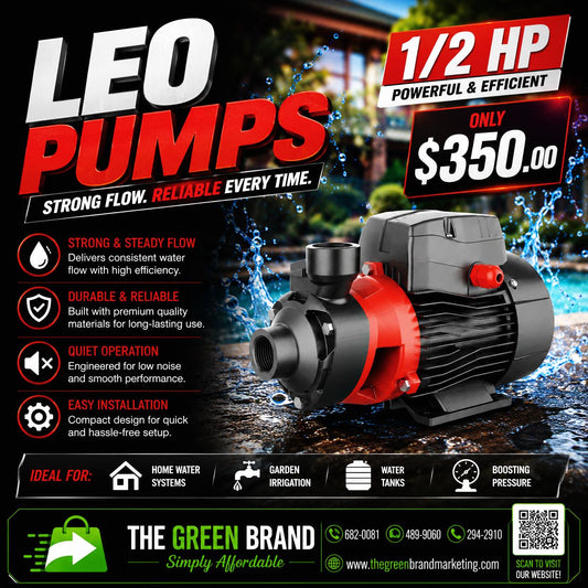 Leo .5hp electrical  pump