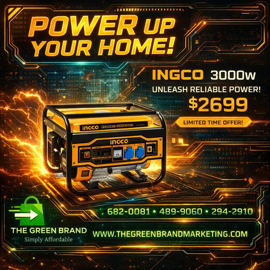 Ingco 3000W gasoline generator