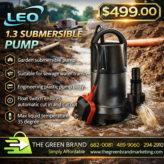 Leo 1.3 HP submersible pump