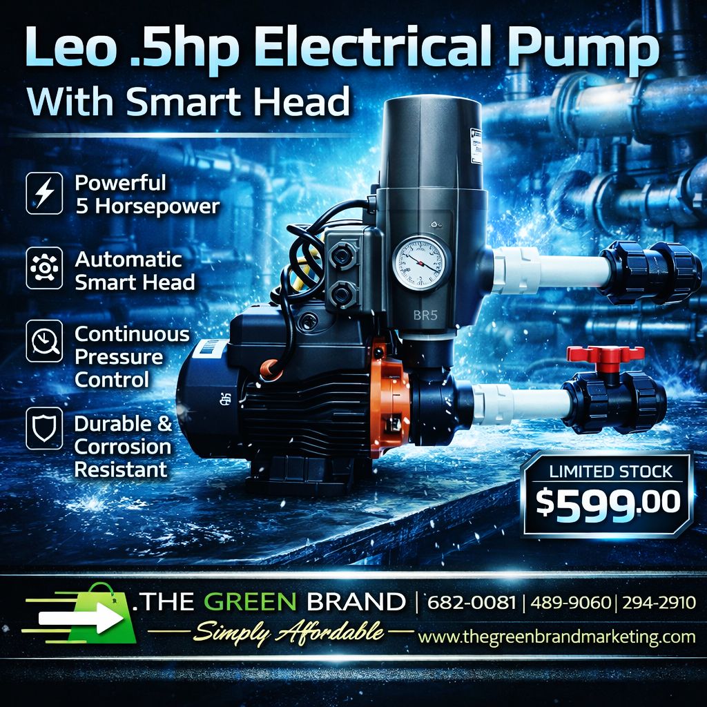 Leo .5hp electrical pump and smart head