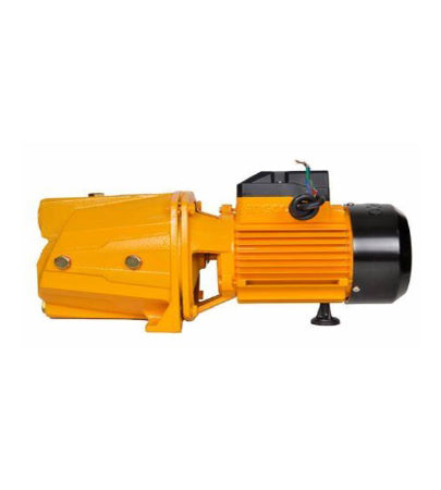 Ingco 1 HP jet pump