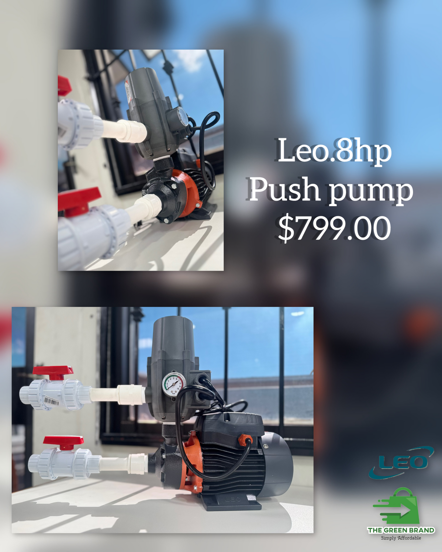 Leo .8hp pump with smarthead and fittings